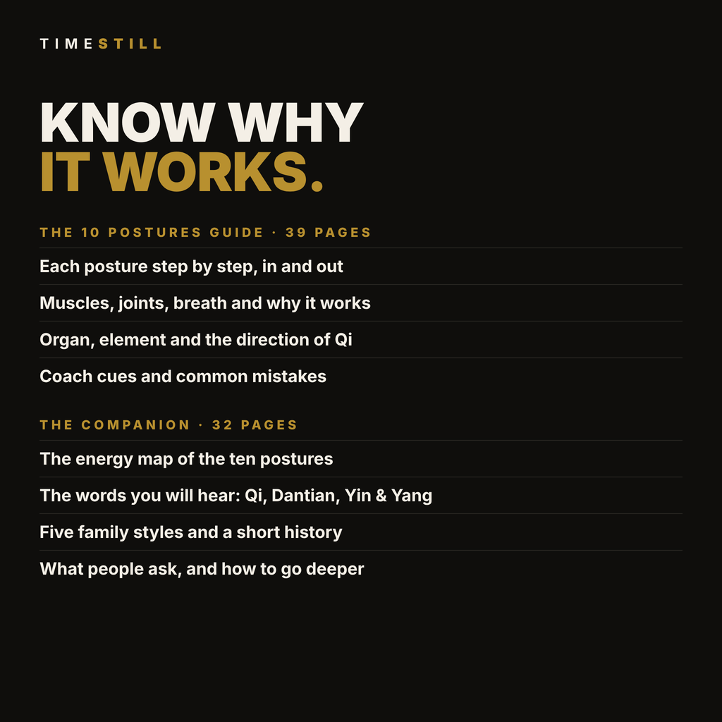TIMESTILL Deep Dive