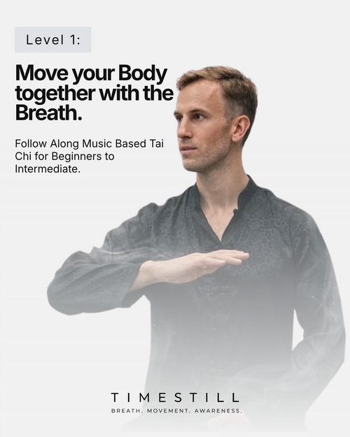 TIMESTILL Tai Chi - Level 1A (RESET)