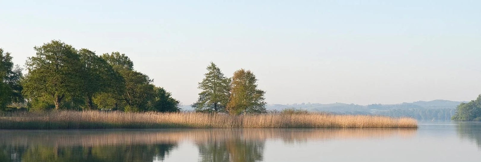Misty lake landscape